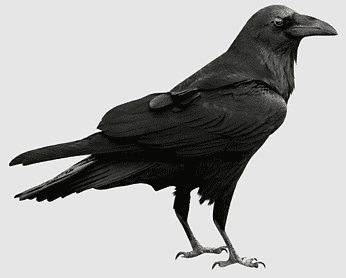 caw.png.cd47b034dba58849600101eee14f4816.png