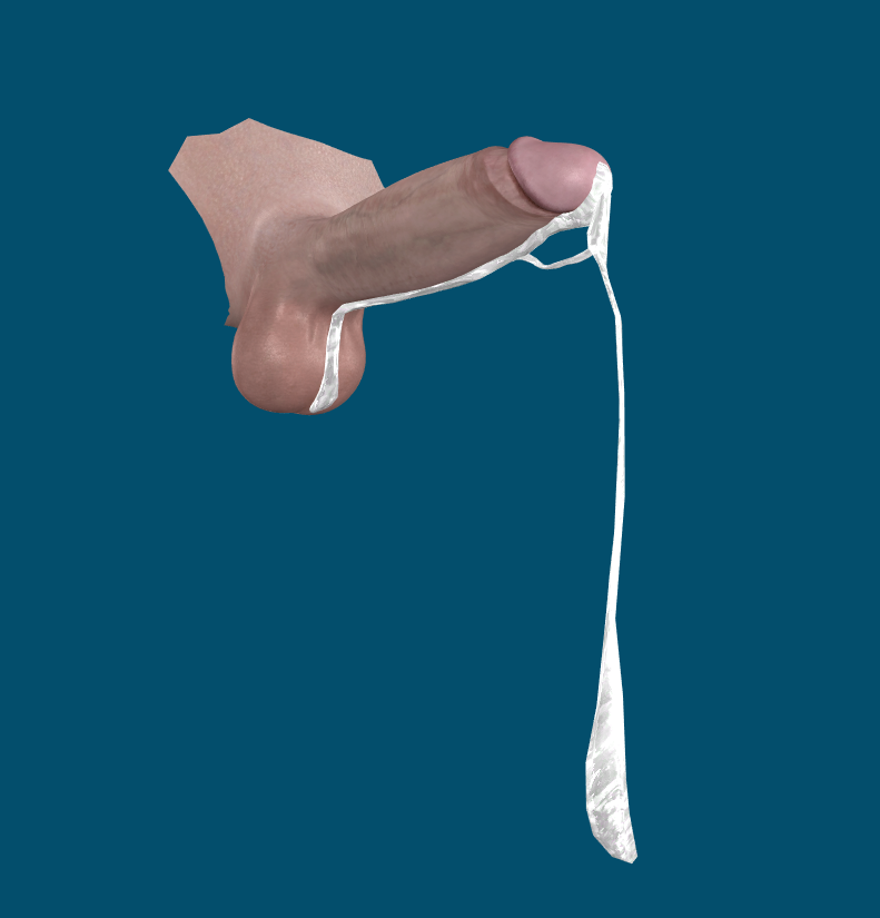 maracumaccessoy.png.35d6eb6aa071f426adb352bbdc651cb6.png