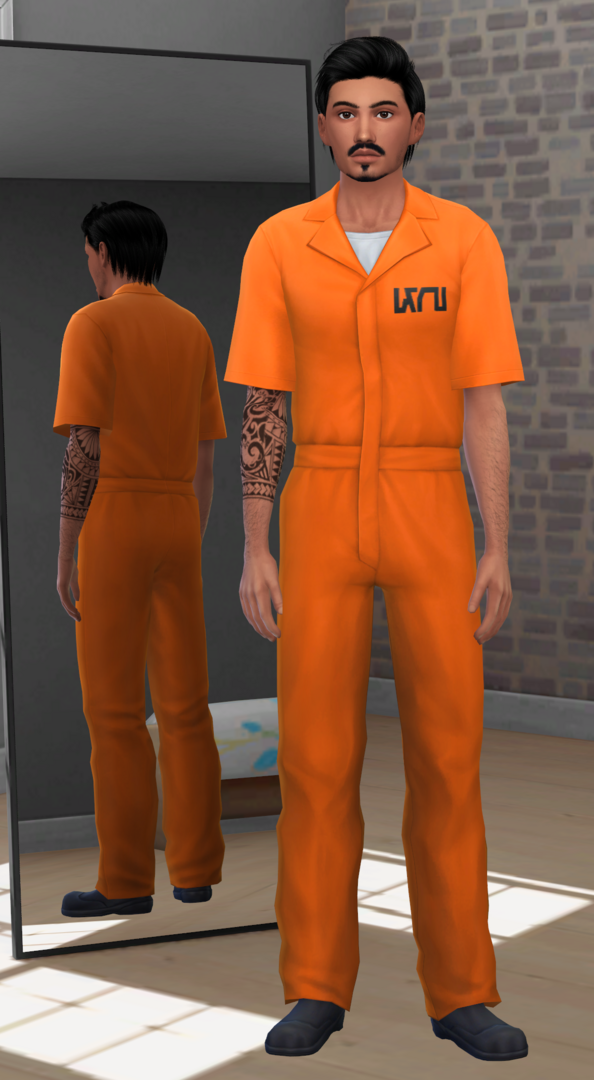 Everyday3.thumb.png.4d3f4e82a4af65d0d600b612ee3c07fe.png
