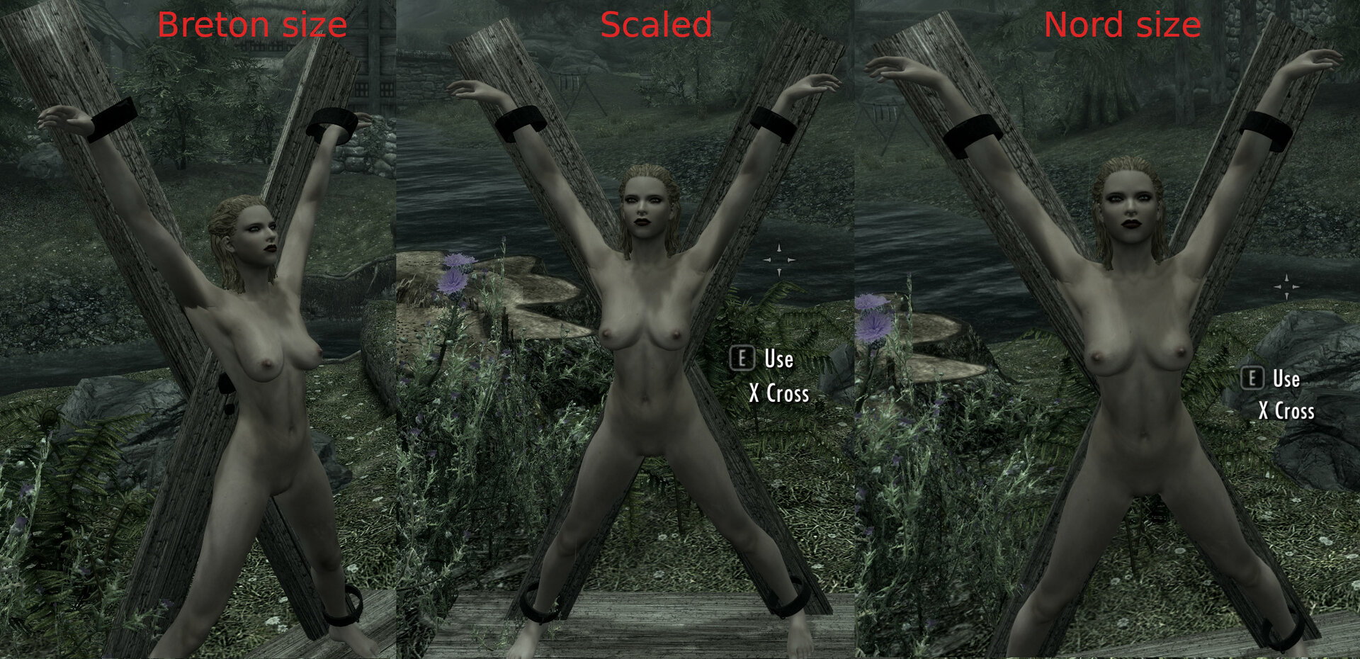 Scaling-Xcross.thumb.jpg.3cb9c5ab209156f3ded2ce83ae7d90e3.jpg