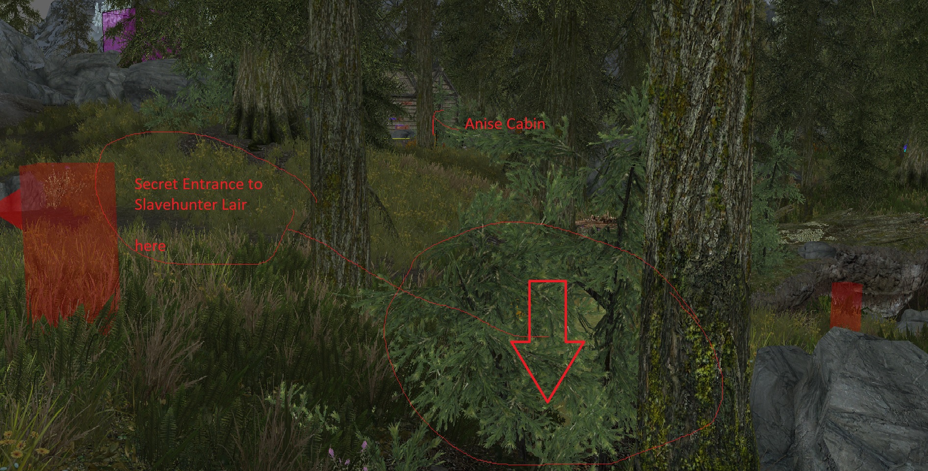 SlaveHunterBaseEntrance.jpg.33b9f7f53e2d528565fb2c69a72bafdd.jpg