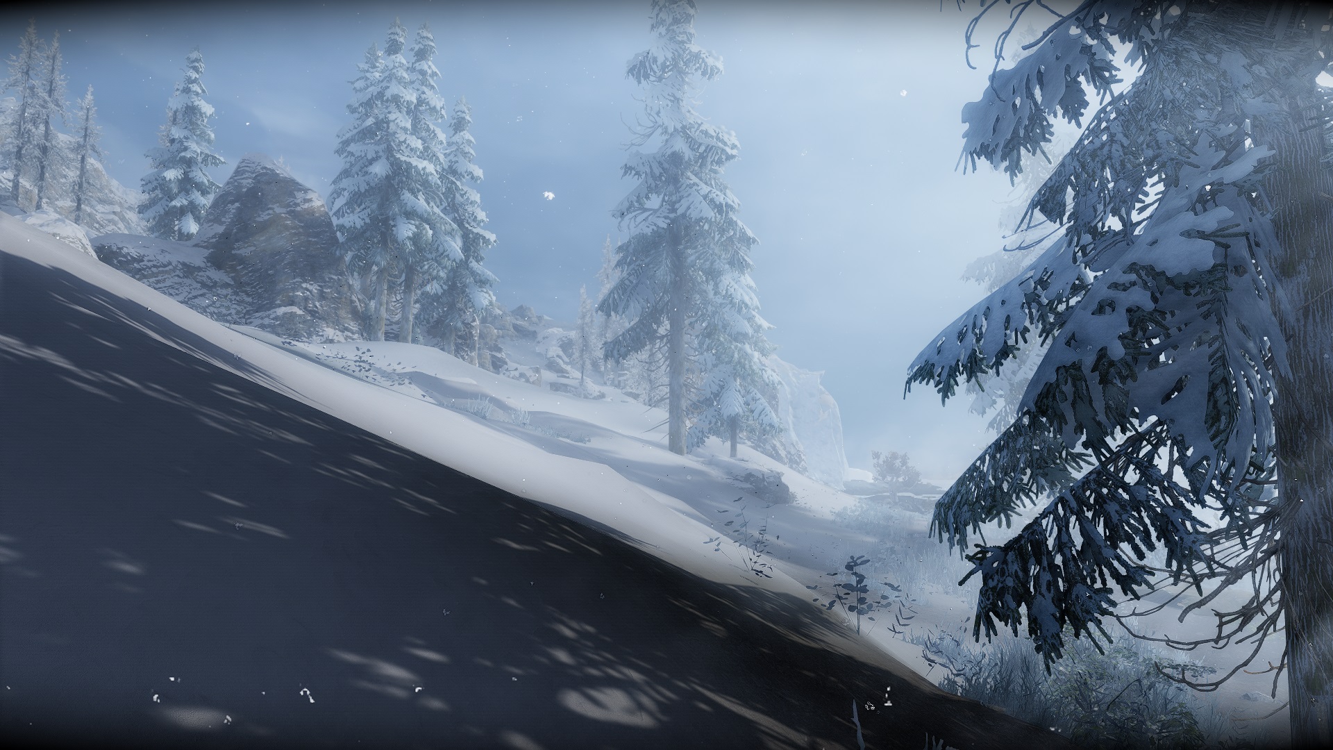 enb2023_3_4_07_37_20.jpg.053d689a9e4d686c2e37ca564d3c499a.jpg