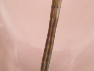 image.png.0fbdeea4a773c776c546e4fb237edcc2.png