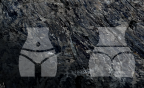 image.png.6cacf4daa06735a1d4b8e85c0ed73ff2.png