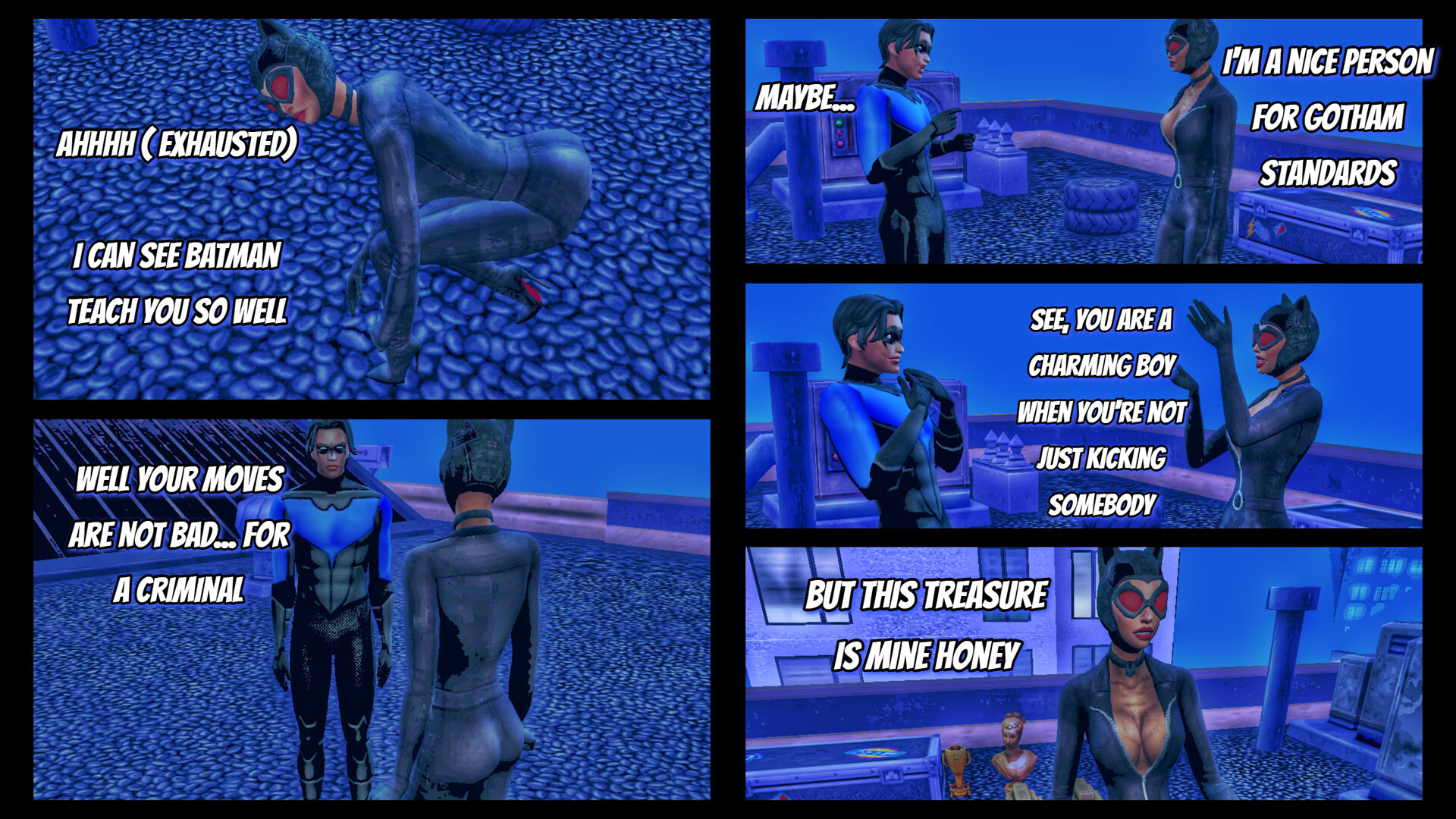 Catwoman Nightwing (6).jpg