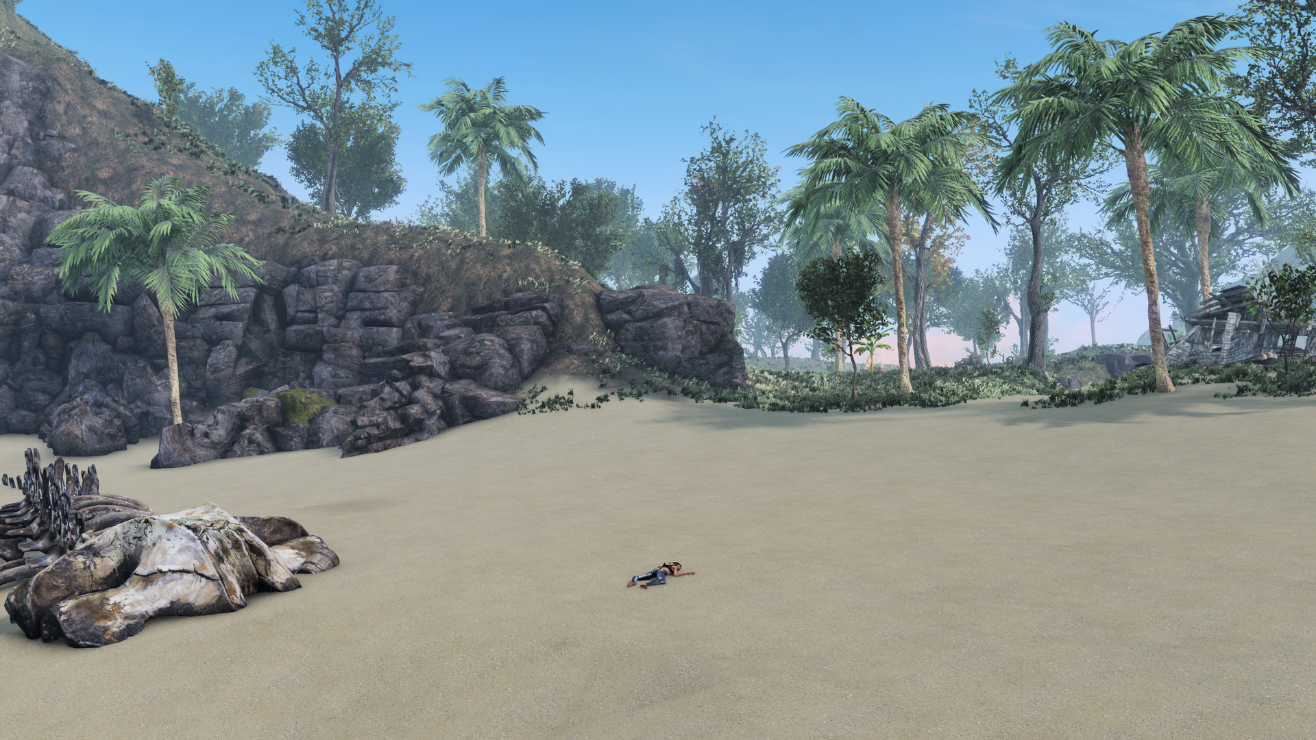 Castaway01.thumb.png.c2ed5a84af2b933009bc6468e0c5d75b.png