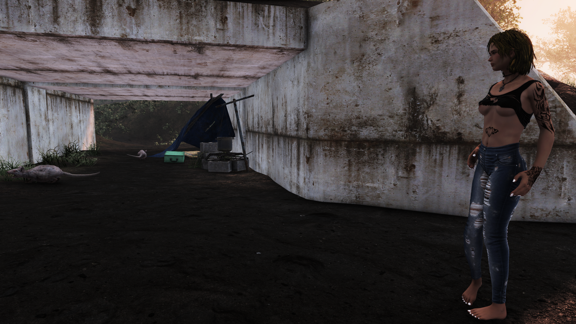 Castaway14.thumb.png.c5f941751d7ae37e6aa3ade59cc6e859.png