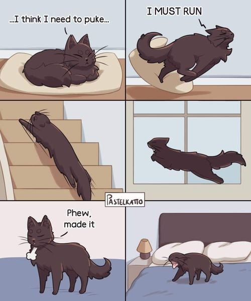 CatSick.jpg.5acb4607ffa89d8fd429eae12306857a.jpg