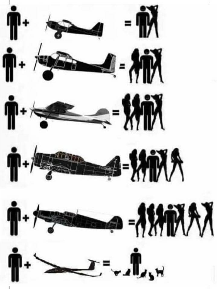 CatsManPlusPlane.jpg.92e24c8c949ce32d78208b568fe68f47.jpg