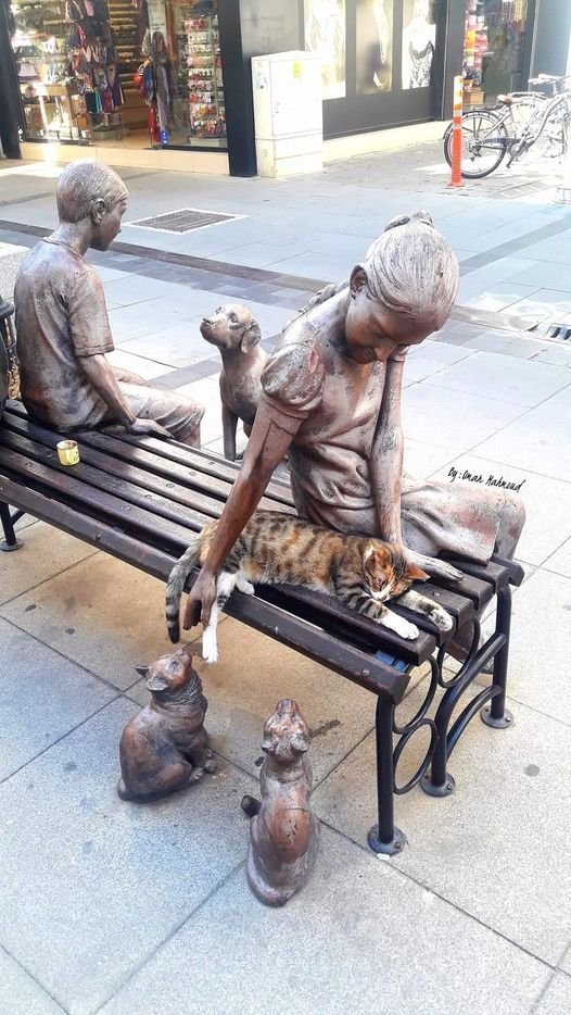 Catstatue.jpg.9135eec318de6252ad1e8e396cee76fa.jpg