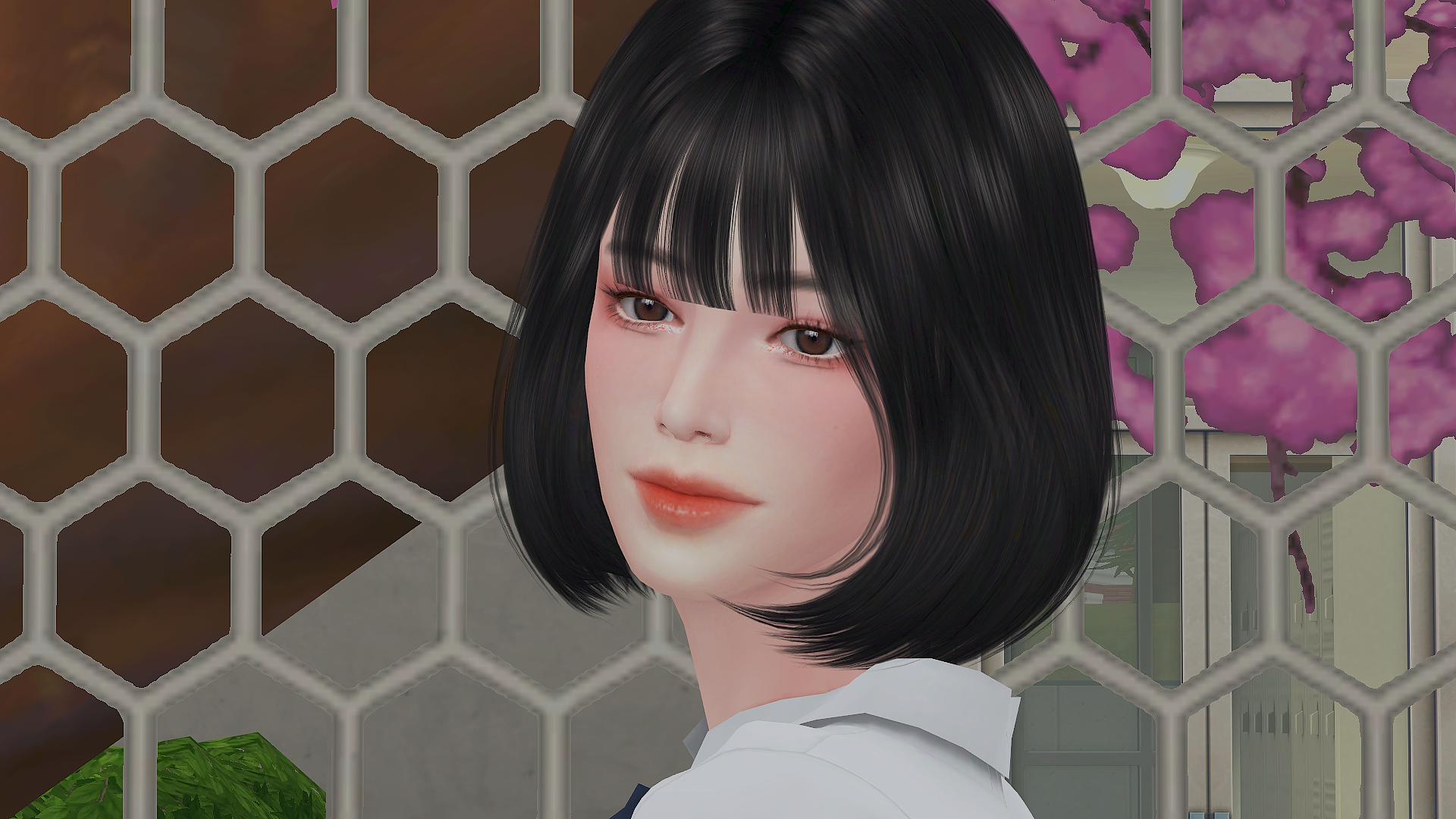 MAIN.png.2c20d038593c613392d8a5516c46347d.png
