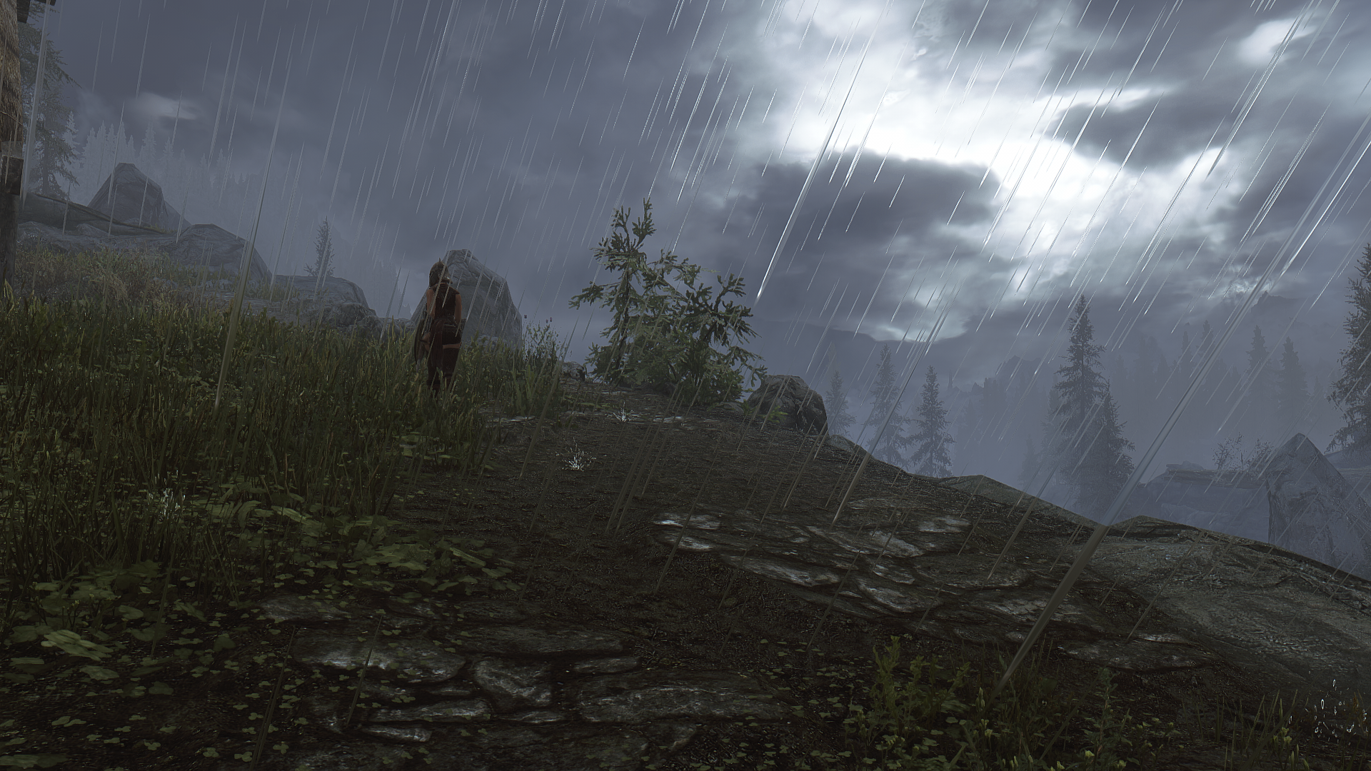 ScreenShot44.png