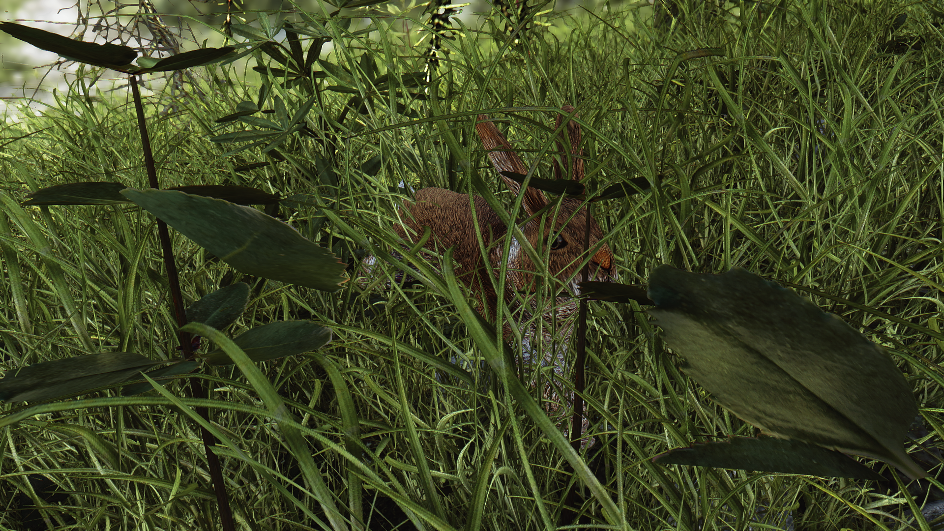 image.png.51c14f1772f0d561a9dfcfe1a1f1214e.png