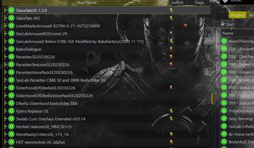1165350126_SkyrimSEModlist6.PNG.0996881be61a783049db892b1324bf1b.PNG