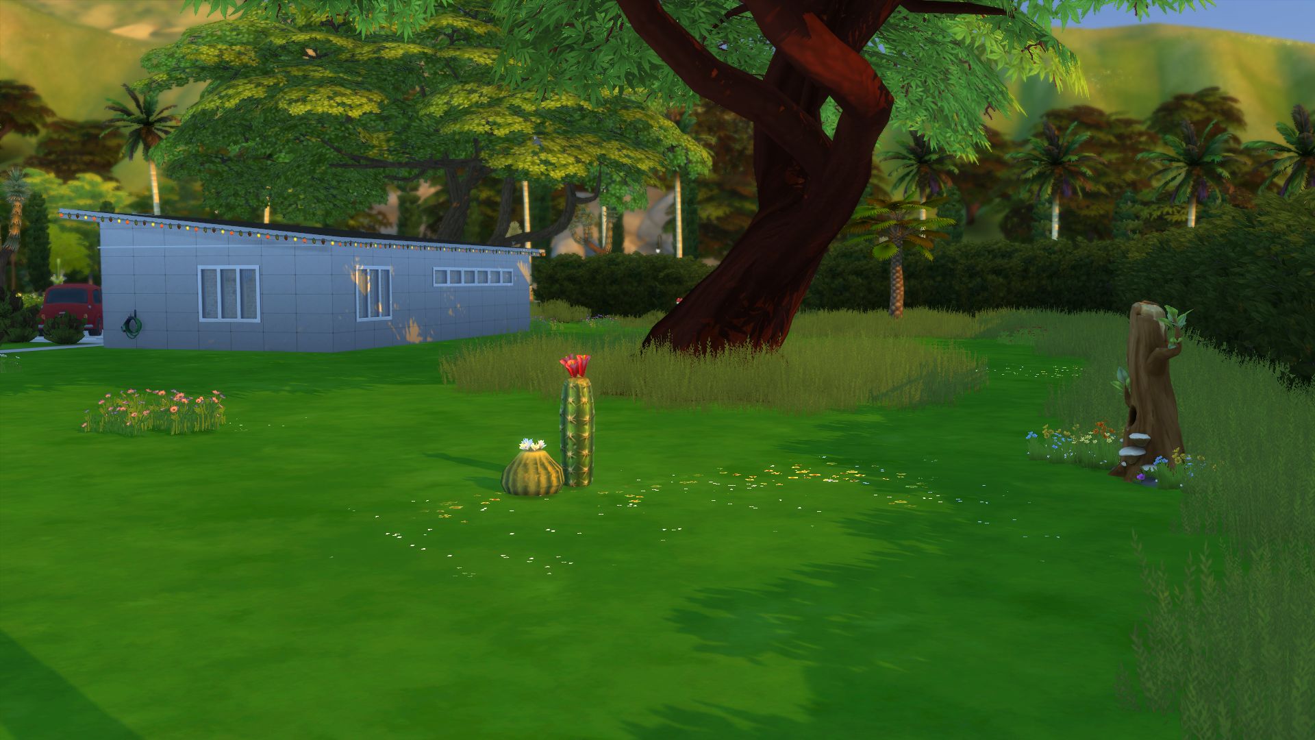 1256327443_22Garden.jpg.b004ce4d7bb22d81a4aeede45f5c14a1.jpg