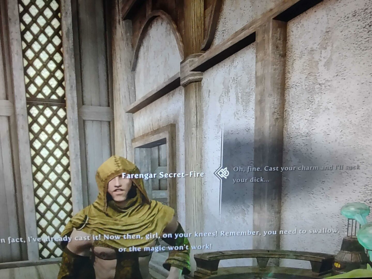BOS bugs 4.jpg