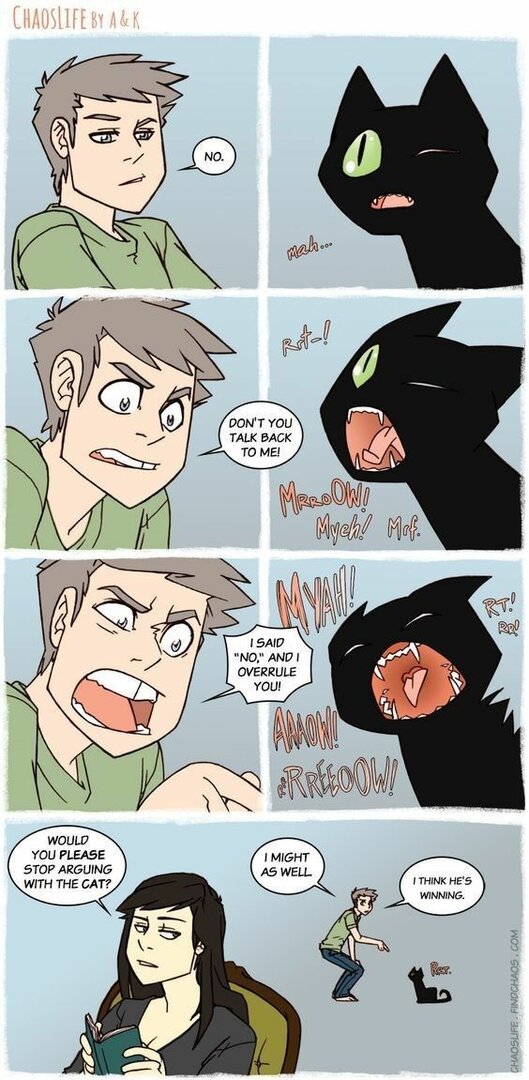 CatArguingWith.thumb.jpg.5b75776491042469898d8b61d6f2c975.jpg