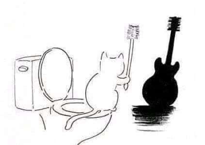 CatGuitar.jpg.c7a21a44a66b02689e2faf0b934a4663.jpg