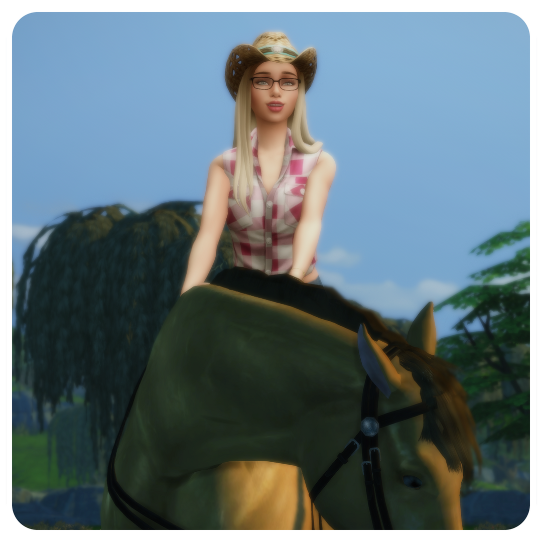 KristaHorse03.thumb.png.f021be1f19135072eeef547184041a41.png