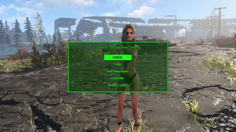 combatsettlers.jpg.d7dce483ecdbbe79c00486fad043f7f3.jpg