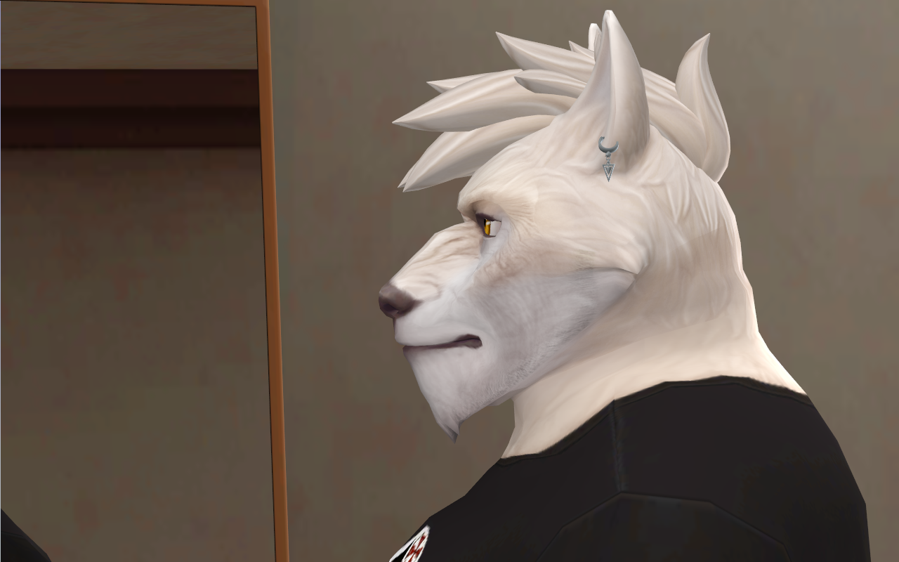 7.png.fa7a255726f8587840557b2ad34bbdf2.png