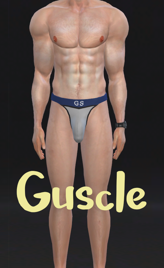 GSF01.png.45f97d6a642ca3966e74cb30580fddbb.png