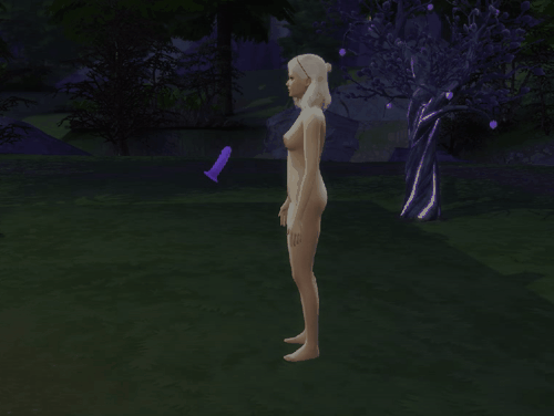 MagicDildoNEW_anal.gif