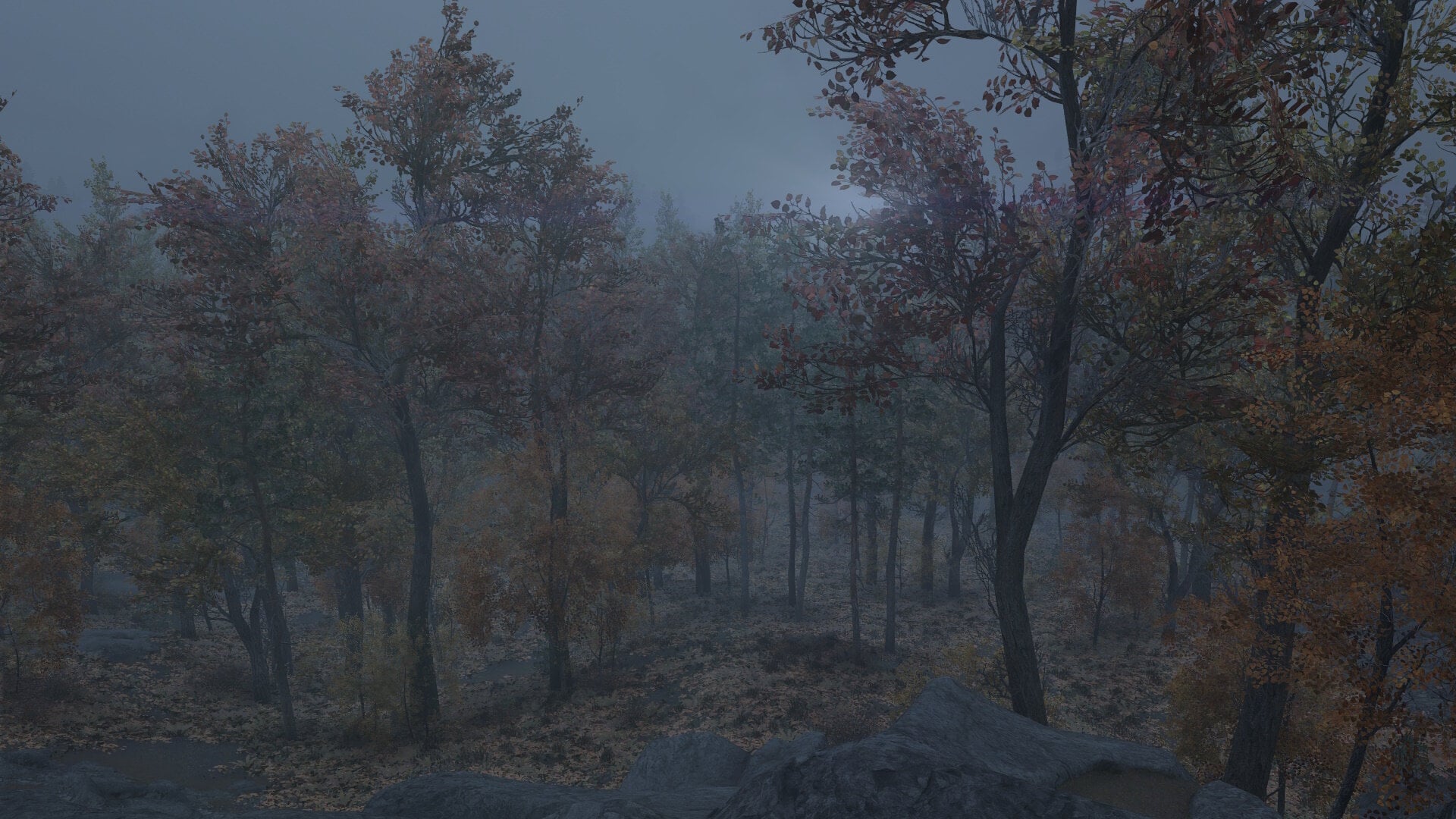 TheRift-Fog.jpg.53ab10e46b6988607e04f91b621a1abe.jpg