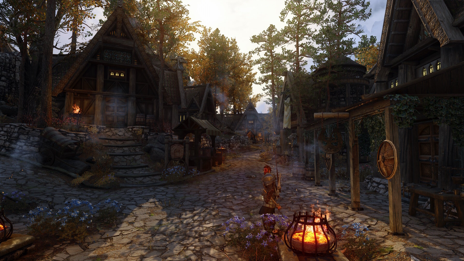 Whiterun-Entrance02.jpg.196e6bf62c3373086eb2d66c01d8d967.jpg