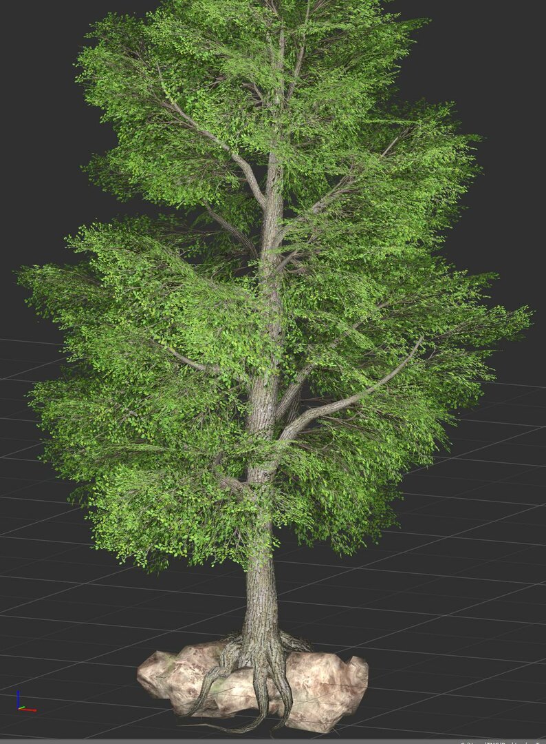 myfirstspeedtree-tree.JPG