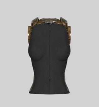 torso.jpg.1179ea07ed9ce2da71f10eb0b00b1996.jpg