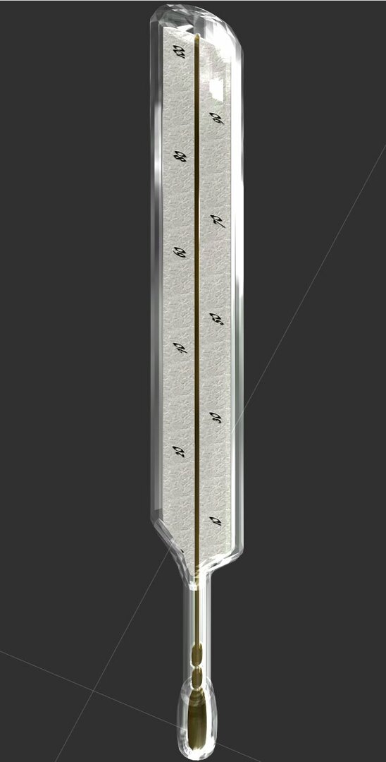 withscale.JPG