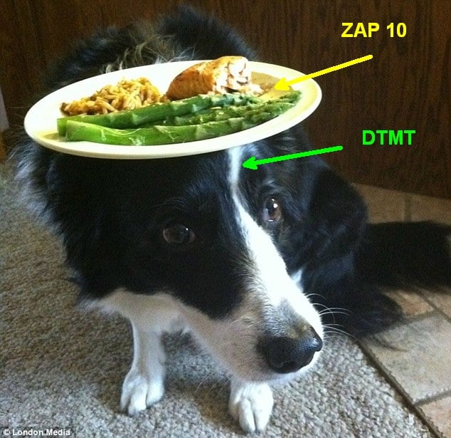 yummy.jpg.233bfdbbc0cbbdcbe39778e4d770537c.jpg