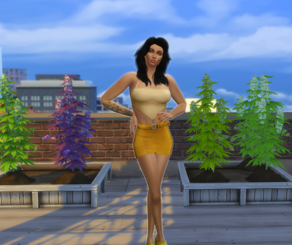 CassandraCannabis2.png.67599ac527bc9301d53c47515a4fbb50.png