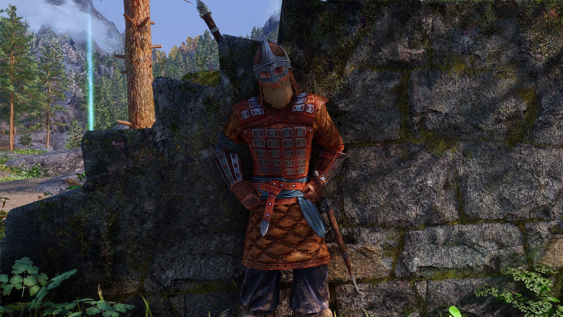Guard-Stormcloak.jpg.42921f930f2f6c2244cf86c36ba1f428.jpg