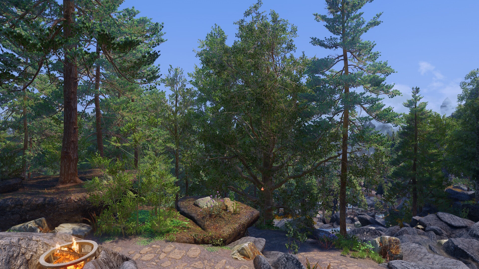 Newtrees02.jpg.bc2dd37853ebcd1e05c4fdbb2ee026f6.jpg