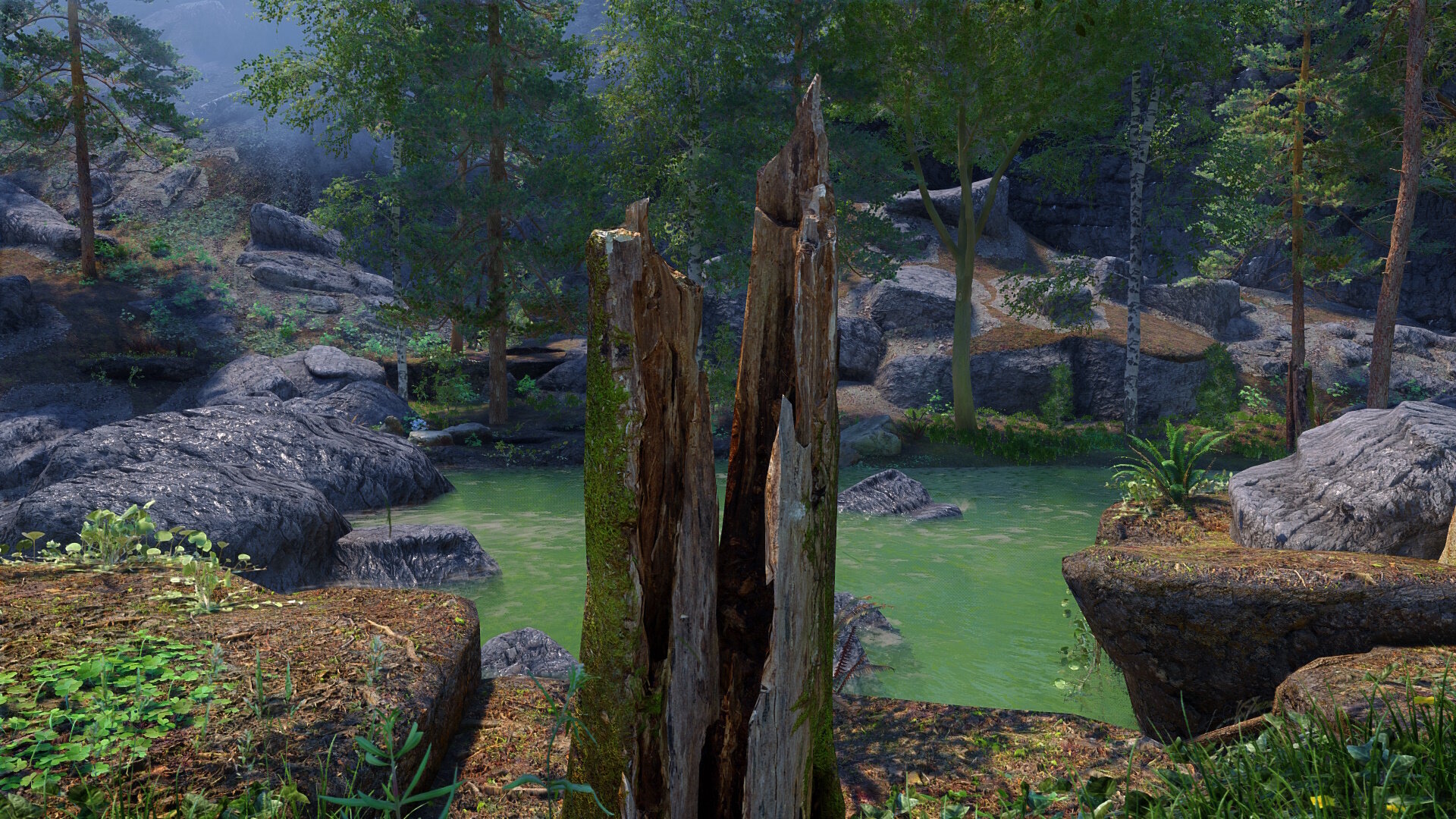 Newtrees04.jpg.37f30c32ab86925bc00673e18355d0e8.jpg