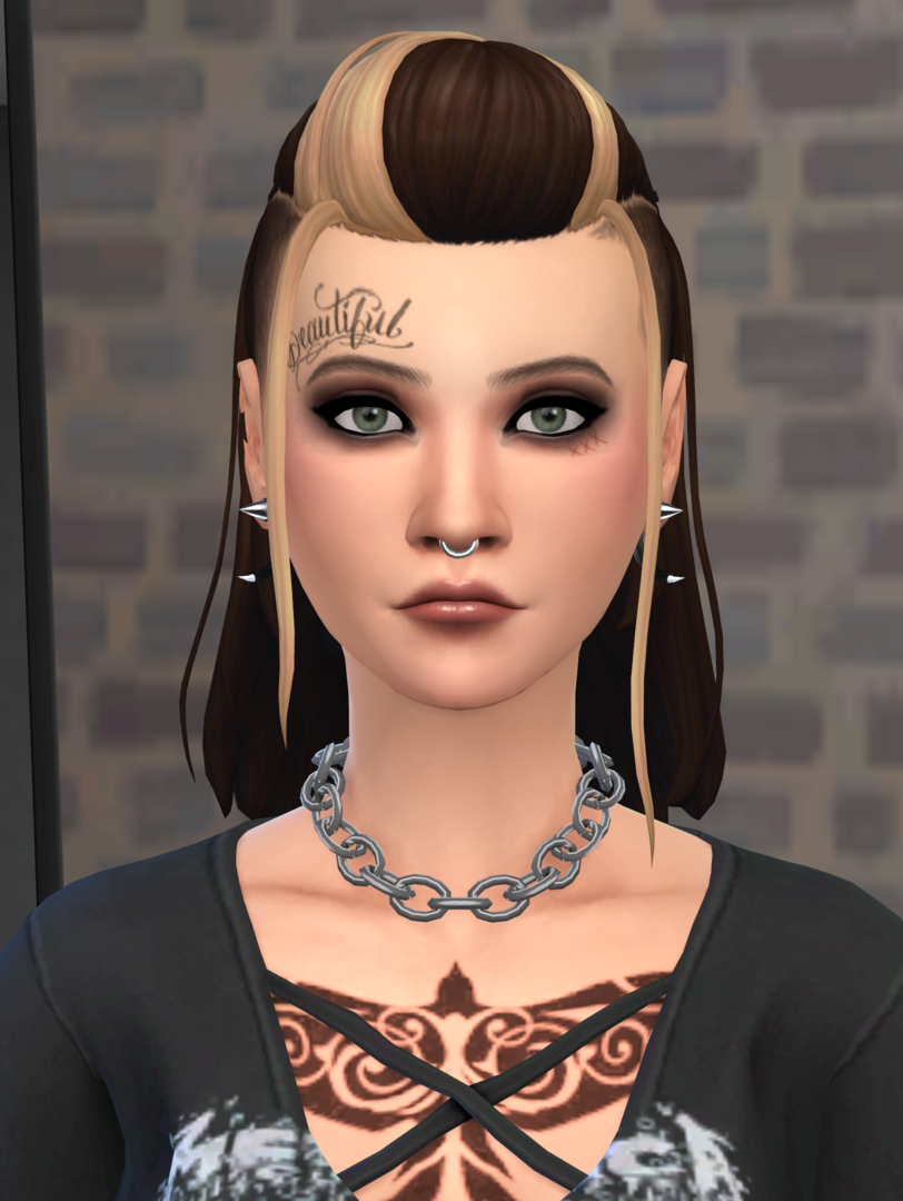 Punk1.thumb.png.08780e21e2d2a165c6ee6ecb88e162dc.png