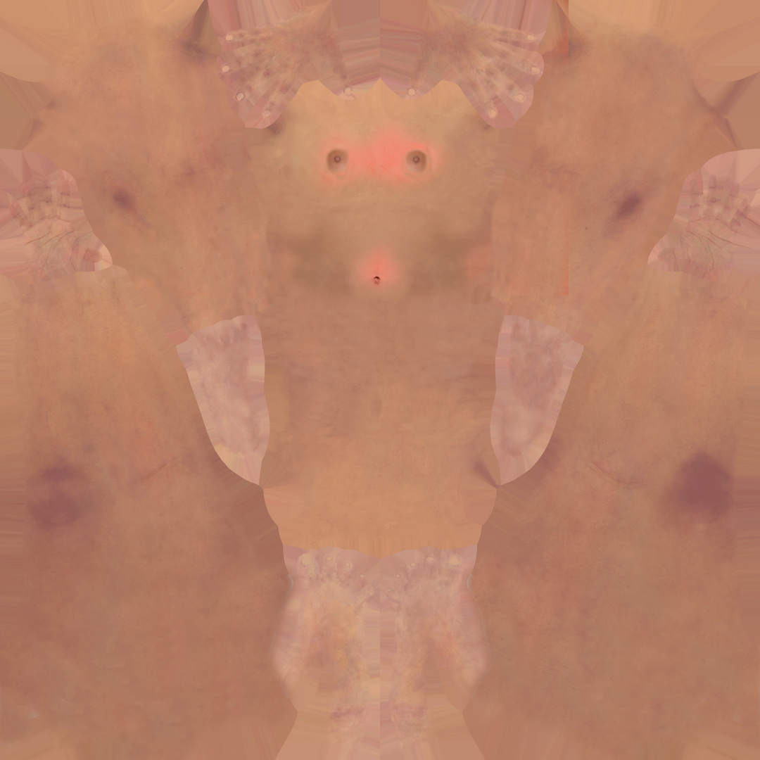 T_Weman_SkinBody_A_D.png