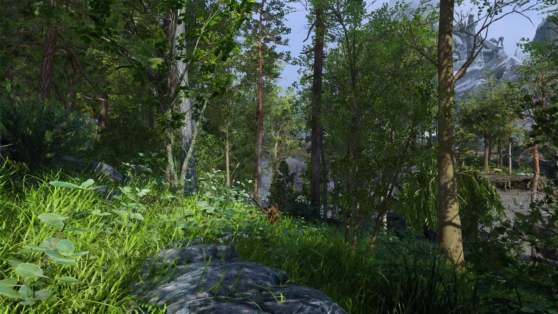 Wilderness07.jpg.277a3bd38cd47a7f19836ac56e4b757a.jpg