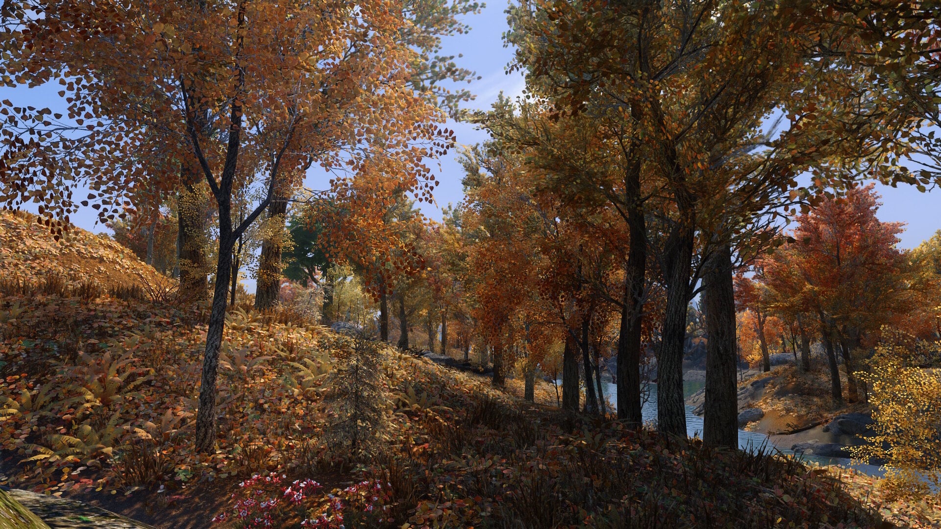 Wilderness11.jpg.a8922cfed28a169a56efa01569fda652.jpg