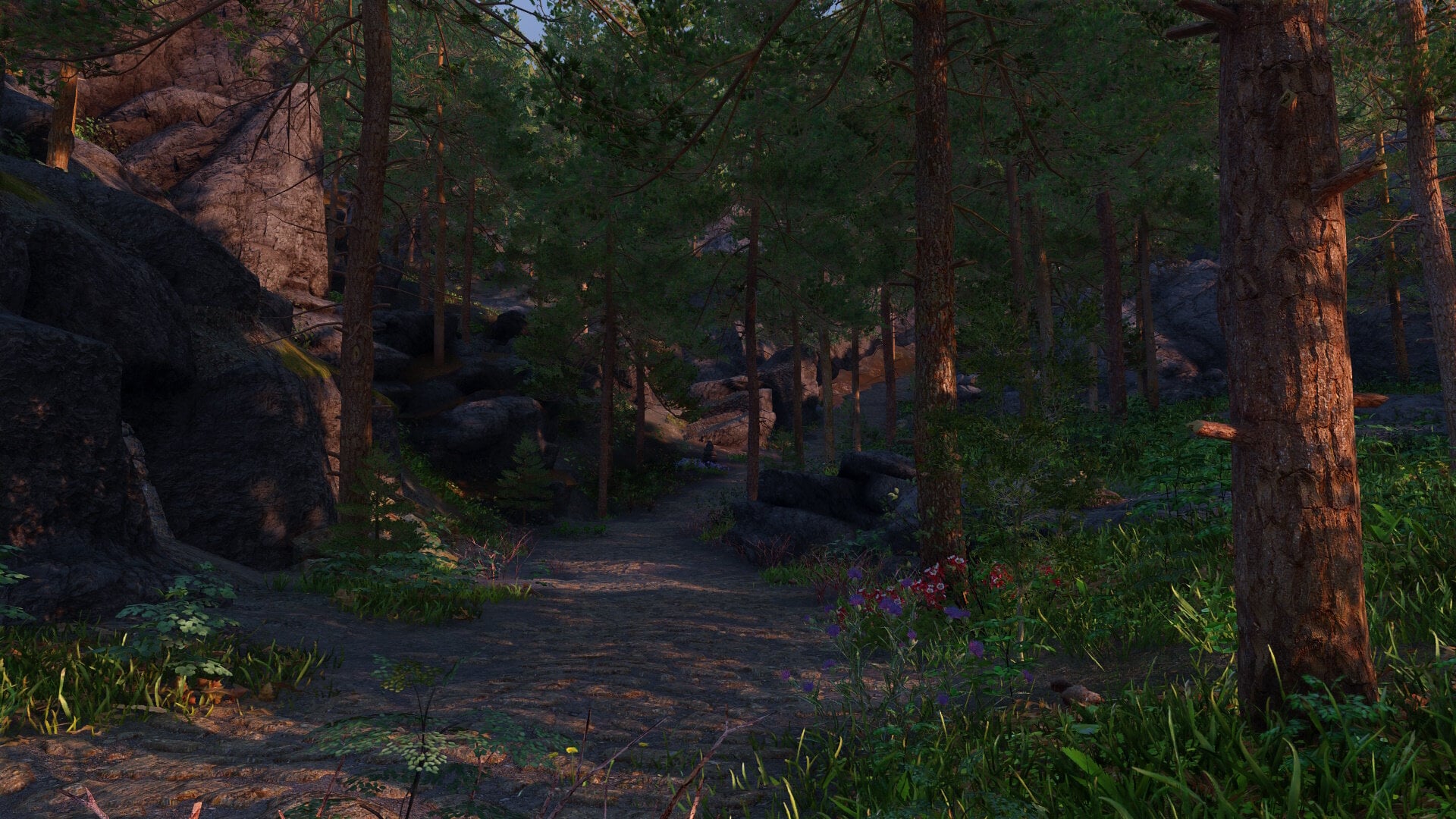 Wilderness14.jpg.8e7118d4326edf6464209e63daee9a6a.jpg