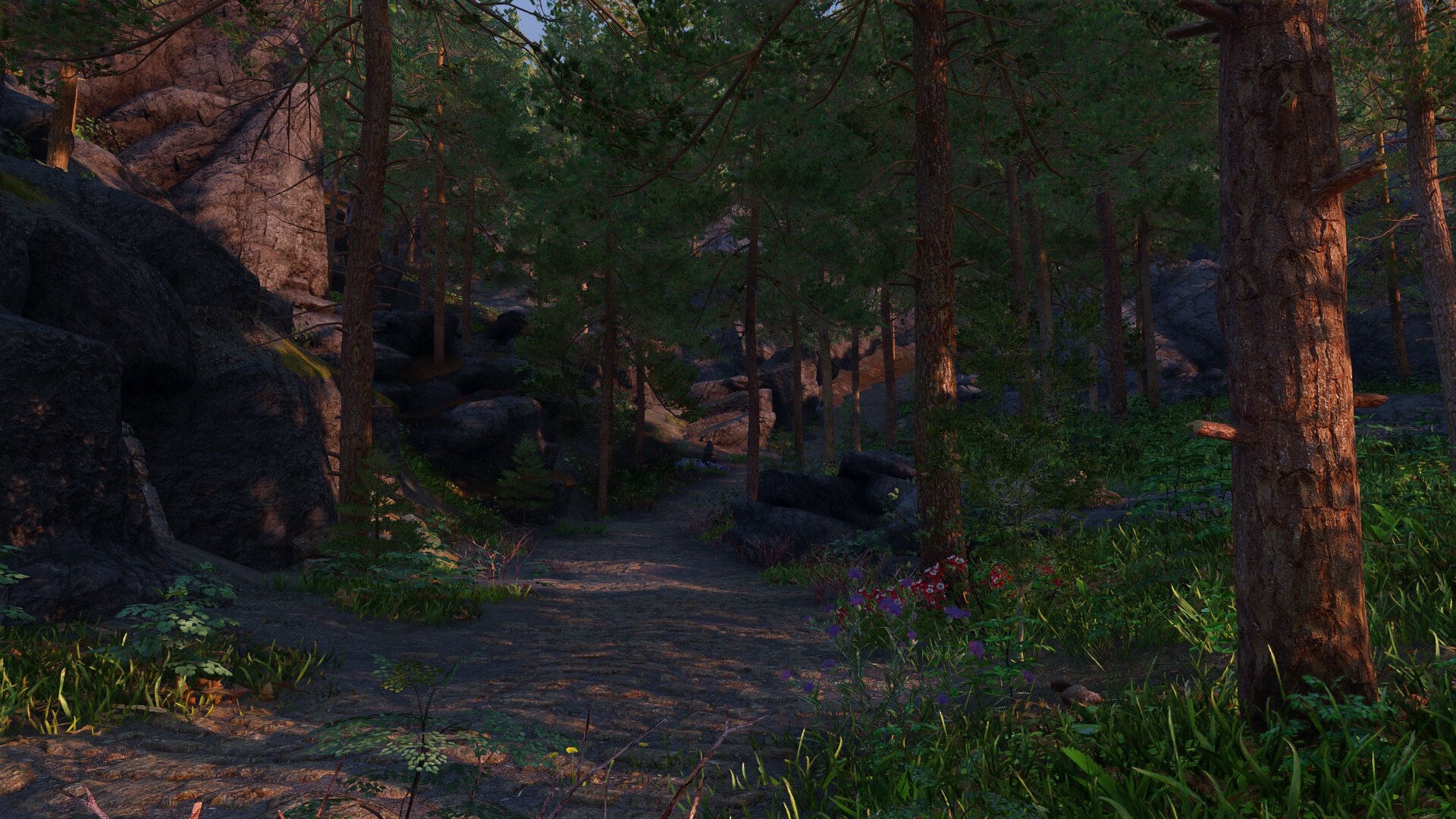 Wilderness14.jpg.b929ff4da4987002b1772b6ddc0299c9.jpg