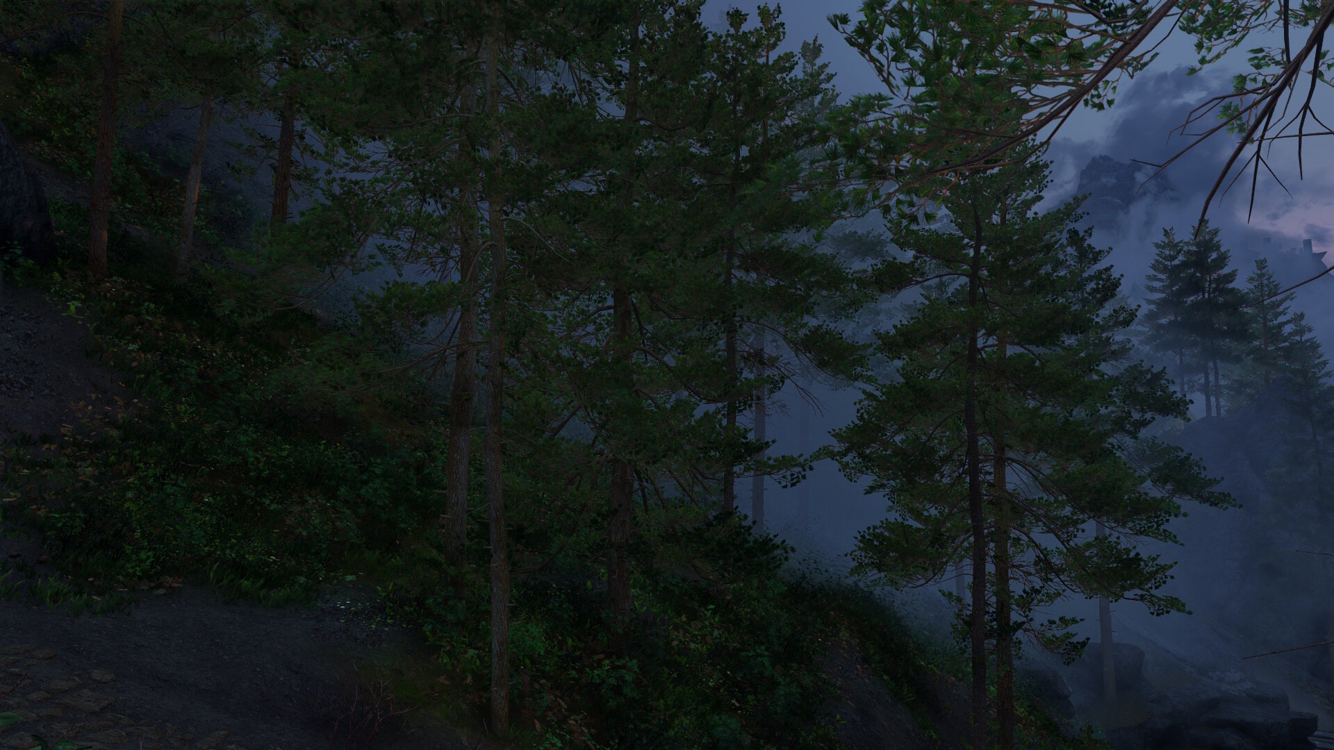 Wilderness17.jpg.b755a2f77d754676d3fff33785904982.jpg