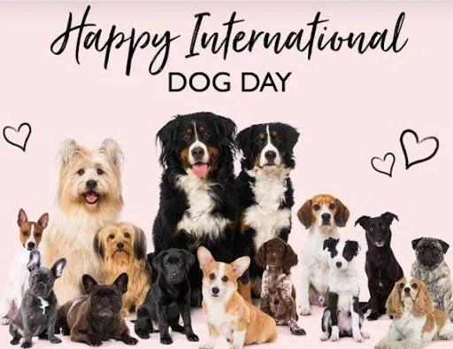 dogday2021.webp.e4bf14d2eb5aabe96157dd34c849dff0.webp