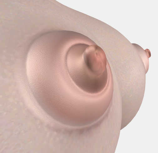 image.png.bca571e54d411005b5ac380c21c5945b.png