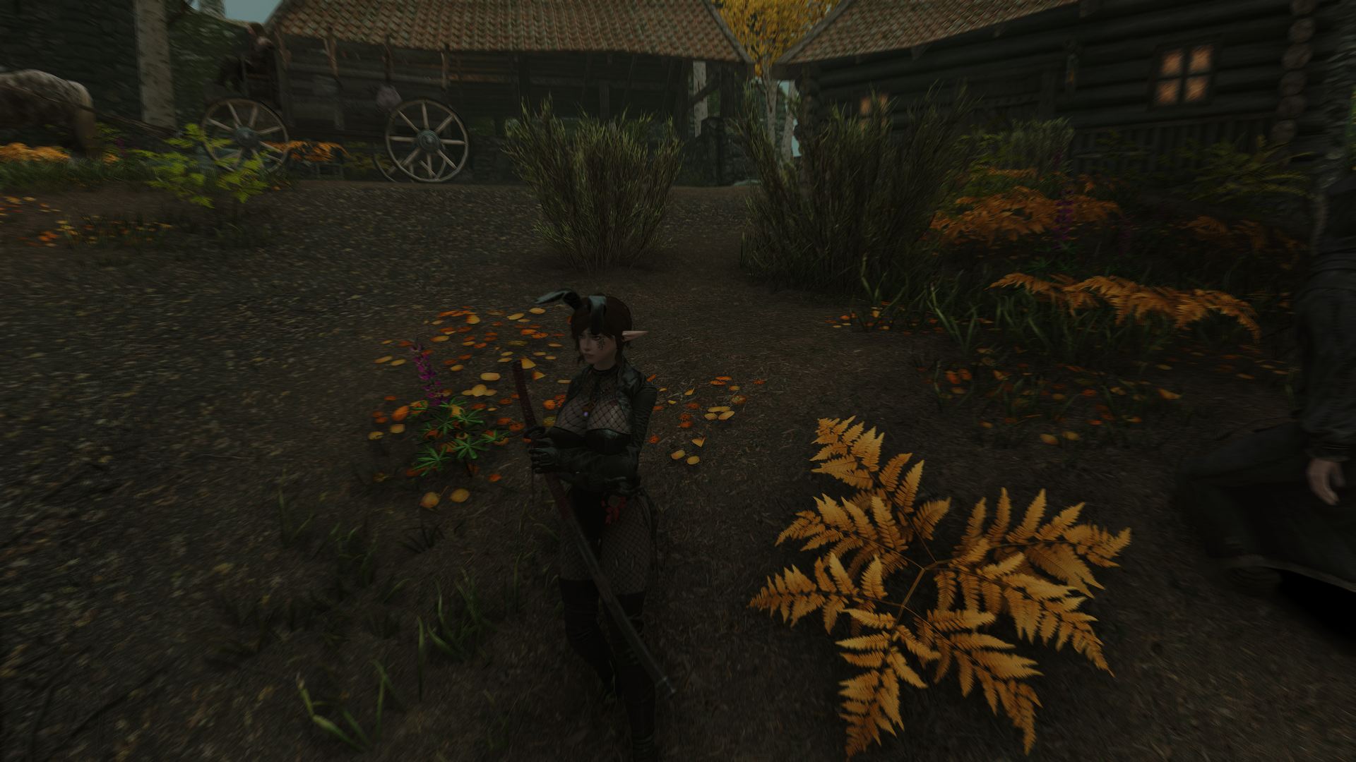 image.png.ec9732ff1642192500be297eed546623.png