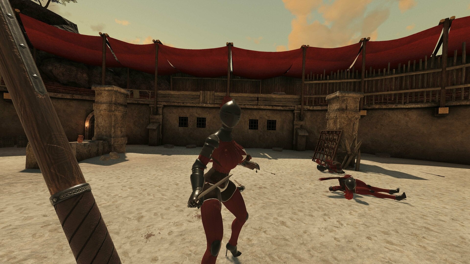 20230913-170043_arena.jpg