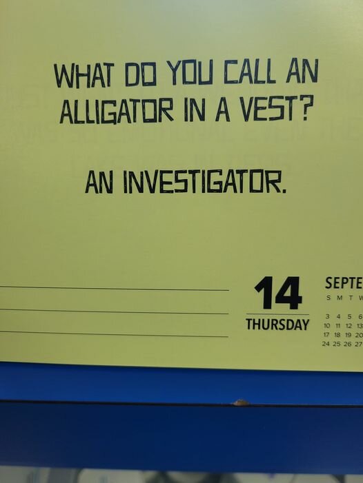 AllegatorInaVest.jpg.0c41ee91b14de0e9099c837d2f2fbe29.jpg