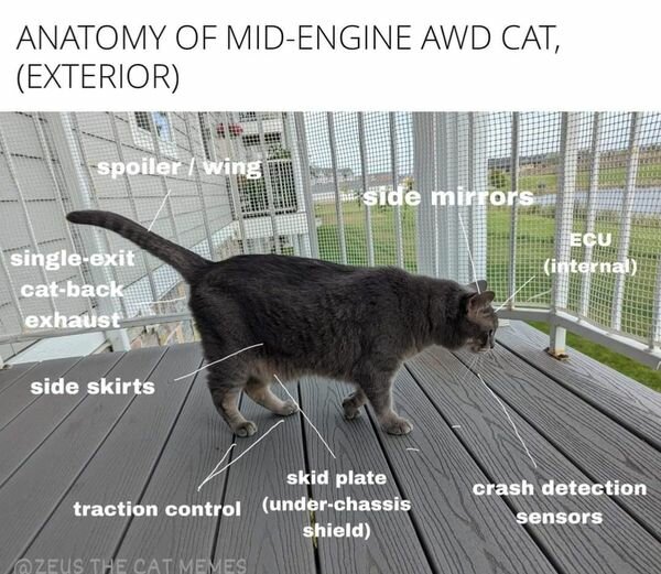 CatMidEngineAWD.jpg.aa510561429d5258bbf1431975cc9fe8.jpg